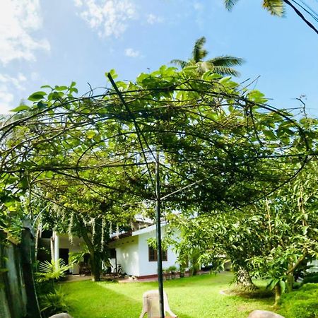 Sanithu Homestay And Villa كالي المظهر الخارجي الصورة