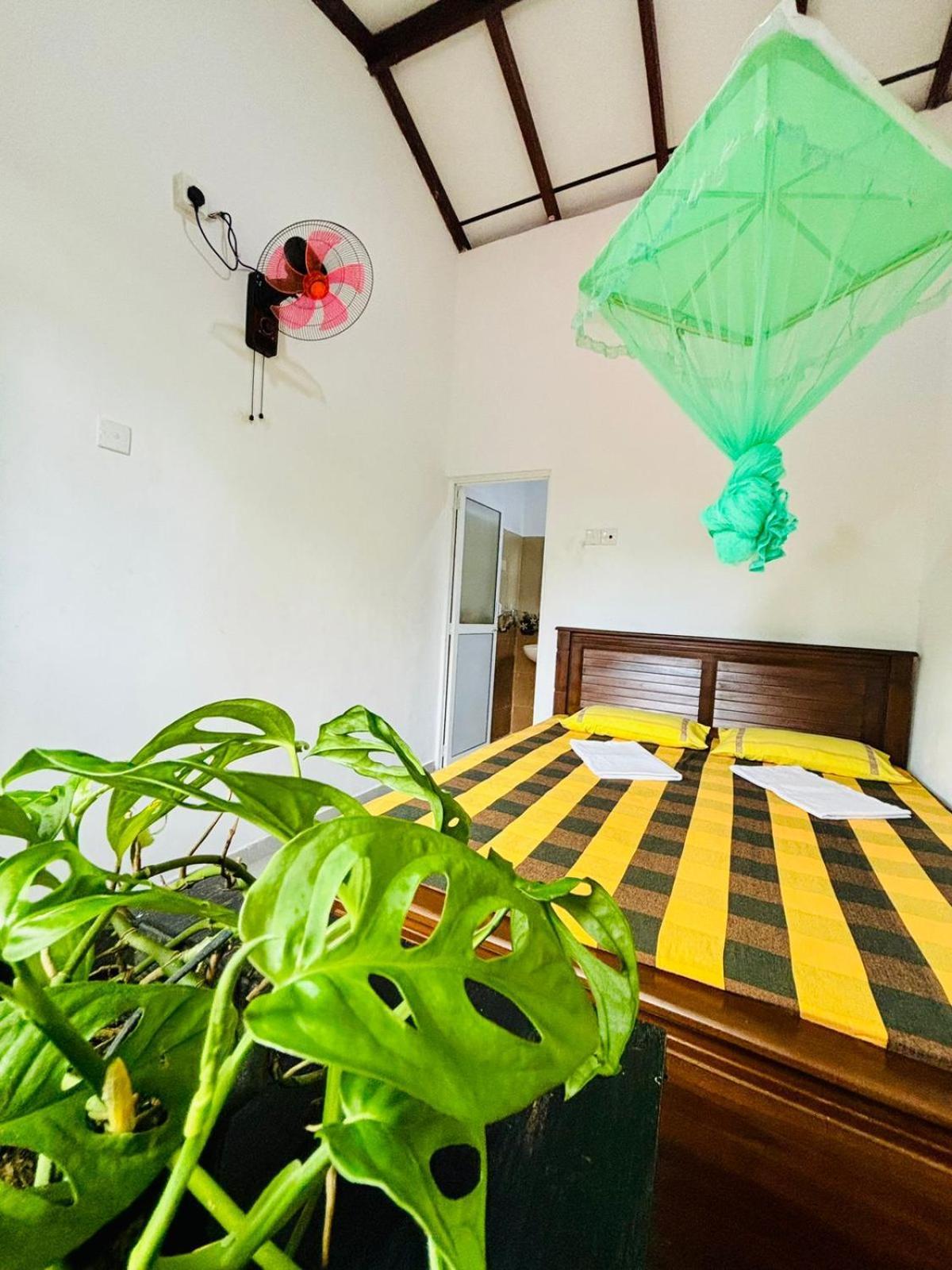 Sanithu Homestay And Villa كالي المظهر الخارجي الصورة