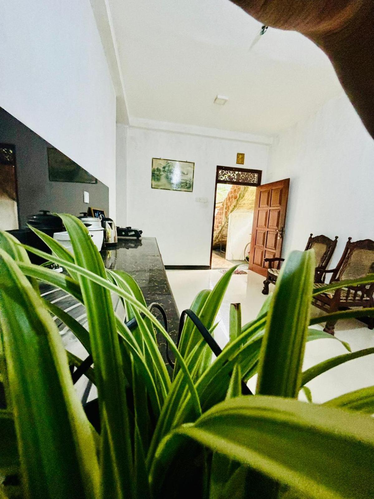 Sanithu Homestay And Villa كالي المظهر الخارجي الصورة