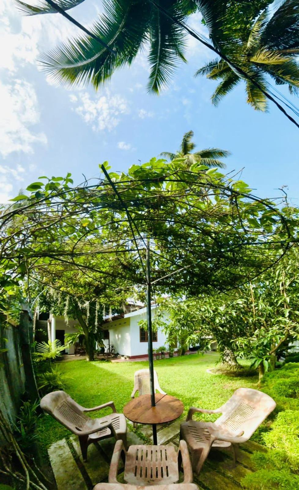 Sanithu Homestay And Villa كالي المظهر الخارجي الصورة