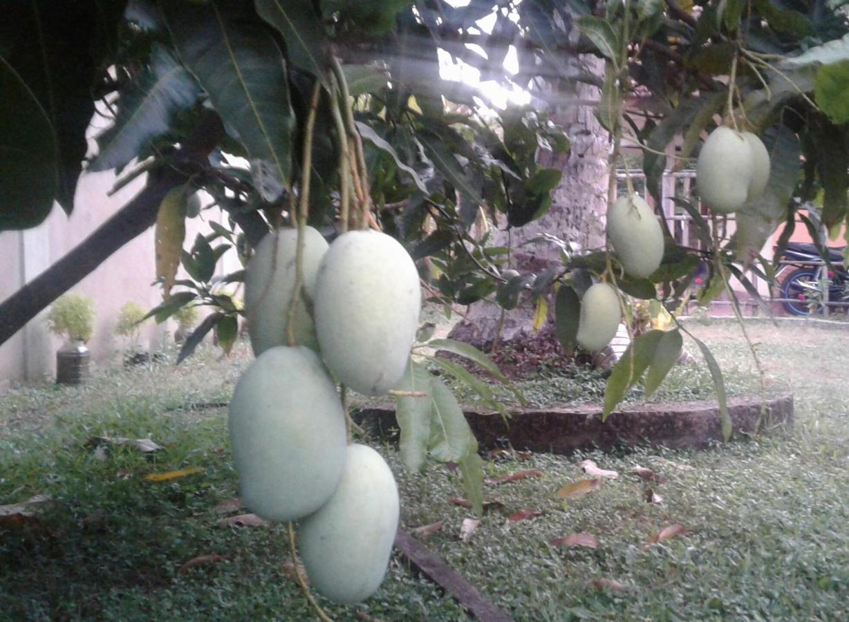 Sanithu Homestay And Villa كالي المظهر الخارجي الصورة